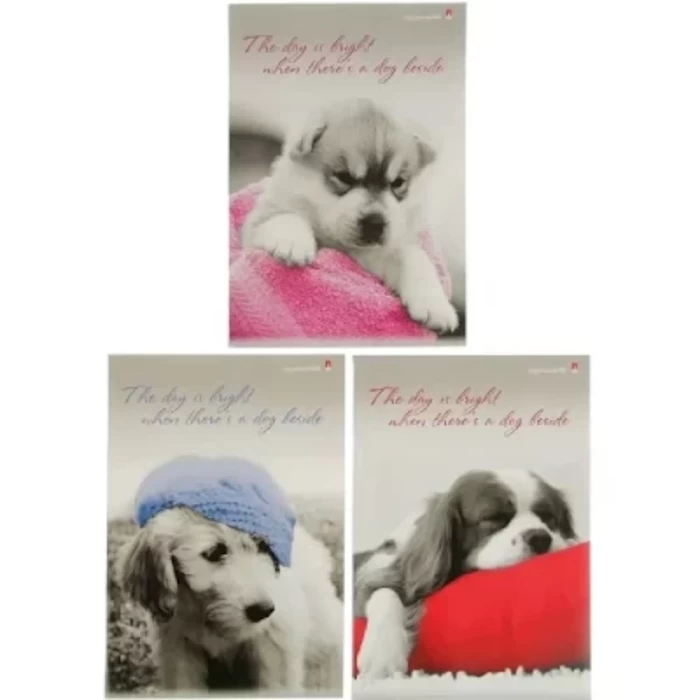 Тетрадь 80 листов в клетку Альт Щенки 7-80-517