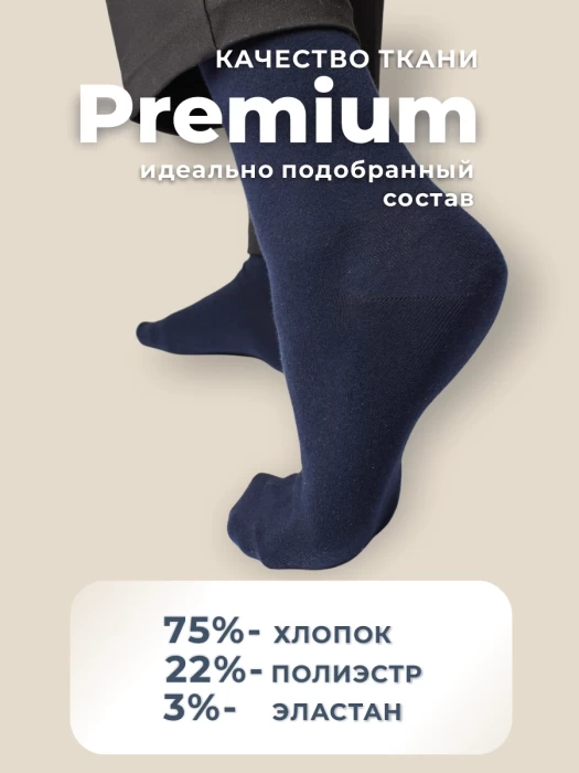 Набор мужских носков ТМ "ЦУМ" 10 пар 3 цвета