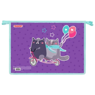 Папка для тетрадей А4 Пифагор 272125