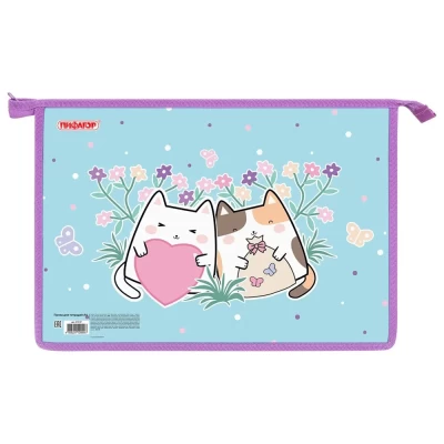 Папка А4 для тетрадей Пифагор 272127