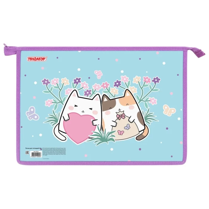 Папка А4 для тетрадей Пифагор 272127