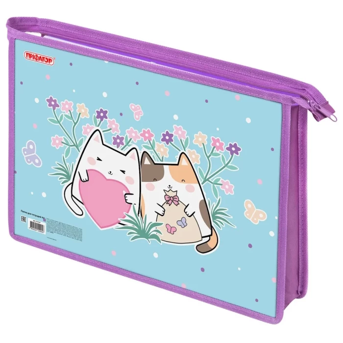 Папка А4 для тетрадей Пифагор 272127