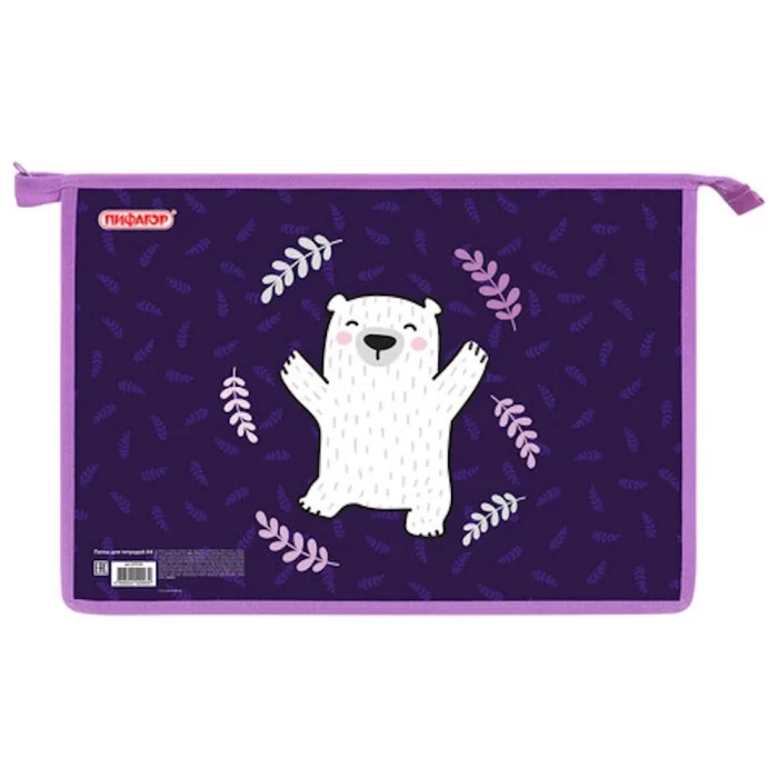 Папка А4 для тетрадей Пифагор 272126