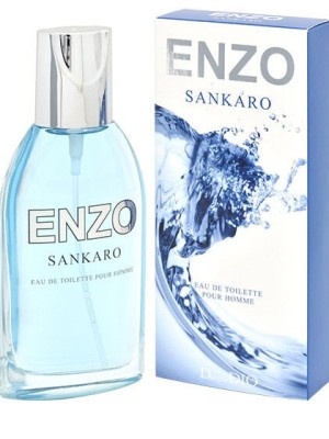 Туалетная вода Alain Aregon ENZO SANKARO 95мл.