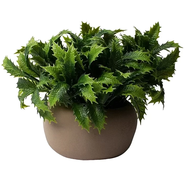 Искусственное растение AE9781 AU188-038