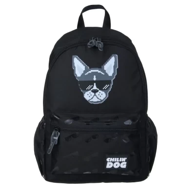 Рюкзак подростковый Собака на чиле 555-023