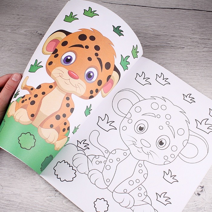 Раскраска А4 "Фауна" 8л с примером Darvish арт. DV-9341