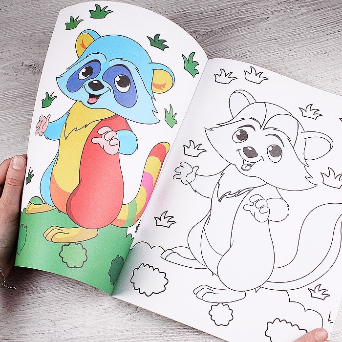 Раскраска А4 "Фауна" 8л с примером Darvish арт. DV-9341