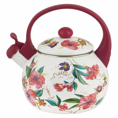 Чайник эмалированный "Гибискус" Appetite 2 л арт. FT7-GI