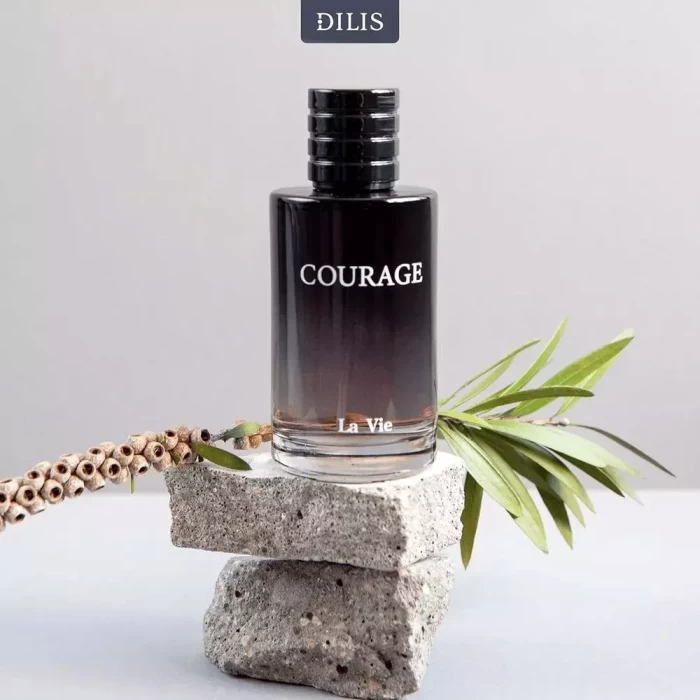 Парфюмерная вода Dilis Parfum La Ville Courage 100мл  