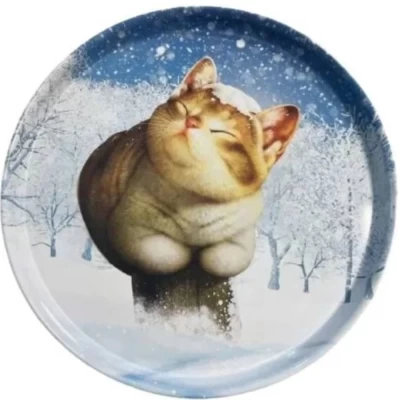 Поднос Зимний кот 33см