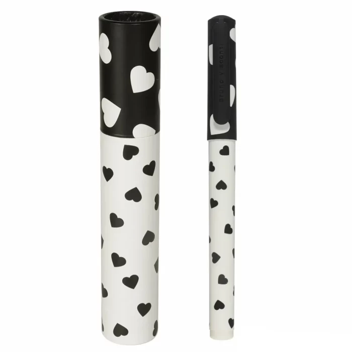 Ручка шариковая Bruno Visconti DreamWrite Black&White в картонной тубе