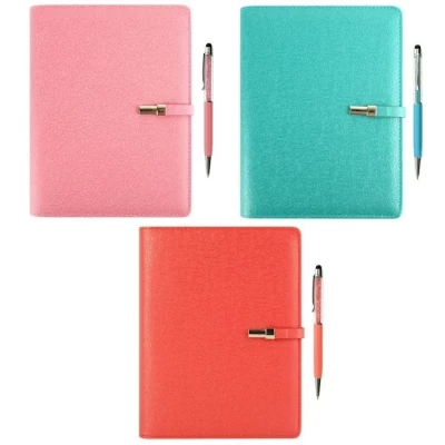 Набор подарочный Ежедневник на кольцах А5 + ручка Darvish ассорти