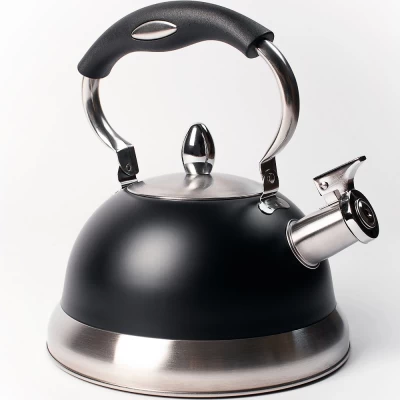 Чайник ТМ "ЦУМ" MJ-67MC 3 л