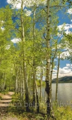 Обогреватель настенный "Дыхание тепла" 17с411