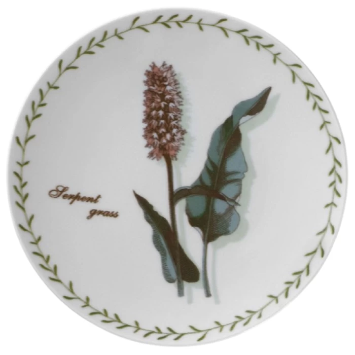 Тарелка мелкая Универсал Ботаника (Колосник) 20см арт.2с1593ф34