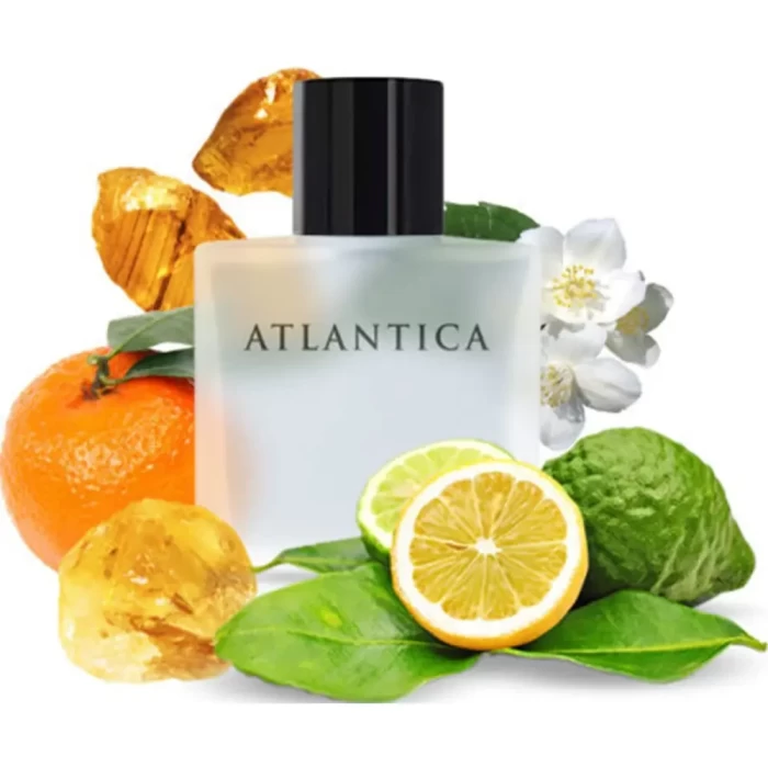Туалетная вода Dilis Parfum Atlantica Mercury 100мл