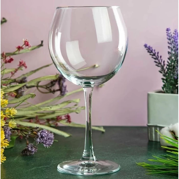 Бокал Pasabahce Энотека 655мл