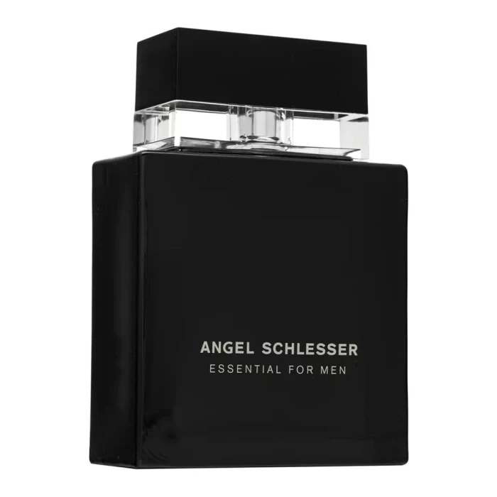 Туалетная вода Angel Schlesser Essential Men 100мл